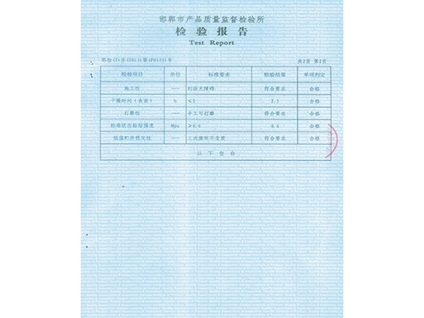 检验报告 (4)